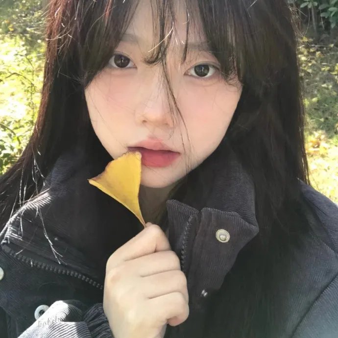 恋夏时光